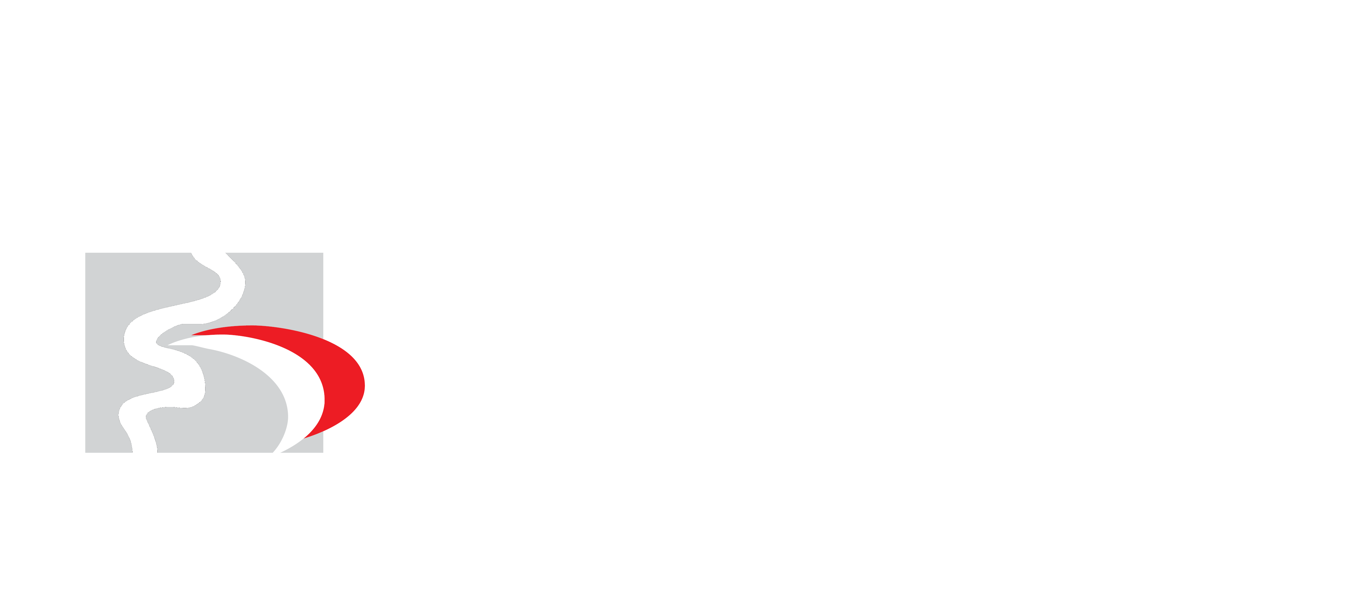 Kunsill Nazzjonali tal-Ilsien Malti